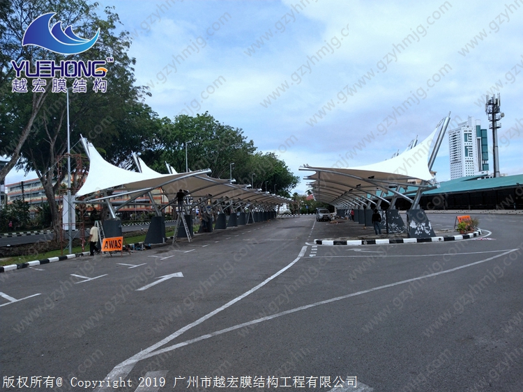 1601711925538316.jpg 3.jpg